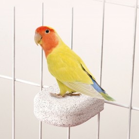Luxury Bird Cage Manufacturer - Stainless Steel Rolling Stand