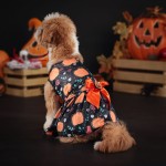 万圣节宠物服装工厂-有趣蜘蛛南瓜服饰