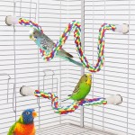 Cat Tunnel Supplier - Rolling Earth Dragon Removable Washable