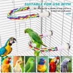 Cat Tunnel Supplier - Rolling Earth Dragon Removable Washable