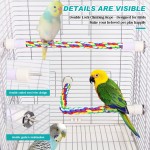 Cat Tunnel Supplier - Rolling Earth Dragon Removable Washable