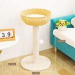 Rattan Cat Tree Factory - Climbing Rest Claw Grinding Experience