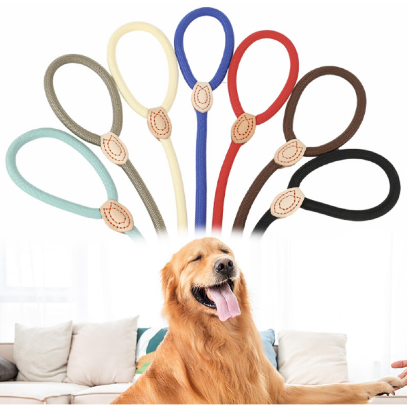 Retractable Dog Leash Factory - Luminous Automatic Safety