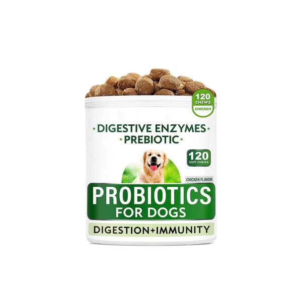 Dog Probiotic Manufacturer - OEM Digestive Enzymes Anti Diarrhea