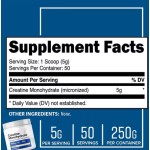 Creatine Monohydrate Factory - OEM Custom Bulk Supplement