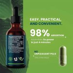 Chlorophyll Drops Supplier - Private Label Natural Energy Booster