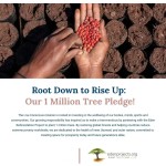 B-Complex Gummies Manufacturer - OEM High Potency Formula