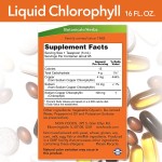 Chlorophyll Drops Factory - OEM Liquid Mint Water Additive