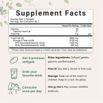 Fish Oil Capsules Supplier - OEM Vegetarian Enteric-Coated