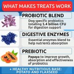 Dog Probiotic Manufacturer - OEM Digestive Enzymes Anti Diarrhea