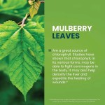 Chlorophyll Drops Supplier - Private Label Natural Energy Booster