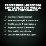 Dog Muscle Supplement Factory - OEM High Protein Power Chews