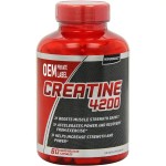 Creatine Capsules Factory - OEM Muscle Growth Protein Support
