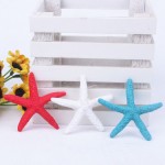 Resin Starfish Factory - OEM Wall Stickers Wedding Ornaments