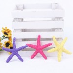 Resin Starfish Factory - OEM Wall Stickers Wedding Ornaments