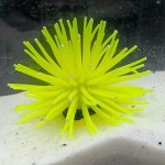 Sea Urchin Ornament Manufacturer - OEM Plastic Jellyfish Coral