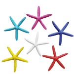 Resin Starfish Factory - OEM Wall Stickers Wedding Ornaments