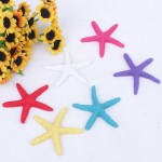Resin Starfish Factory - OEM Wall Stickers Wedding Ornaments