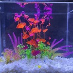 Aquarium Plants Factory - OEM Plastic Underwater Grass Decor