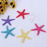Resin Starfish Factory - OEM Wall Stickers Wedding Ornaments