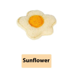 Pet Toy Supplier - Loofah Set Teeth Cleaning Teaser Wand Custom