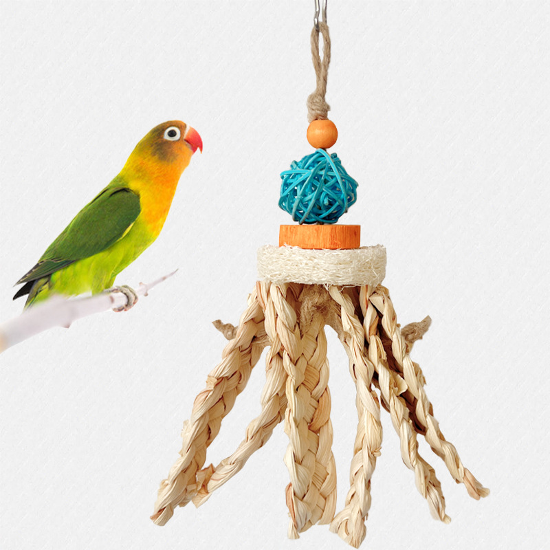Parrot Toys Factory - Wood Rattan Balls Loofah Skewers Custom OEM