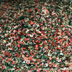 Pet Snacks Supplier - Mixed Dried Vegetables 500g for Hamsters Custom