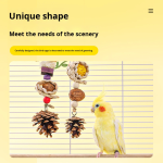 Parrot Toys Factory - Rattan Ball Pinecone Chew Toy Custom Design