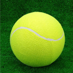 Pet Toy Manufacturer - Inflatable Tennis Ball 24cm Rubber Chew Custom