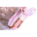 Pet Lace Cape Factory - All Seasons Dress Up for Dogs Cats Custom Private Label