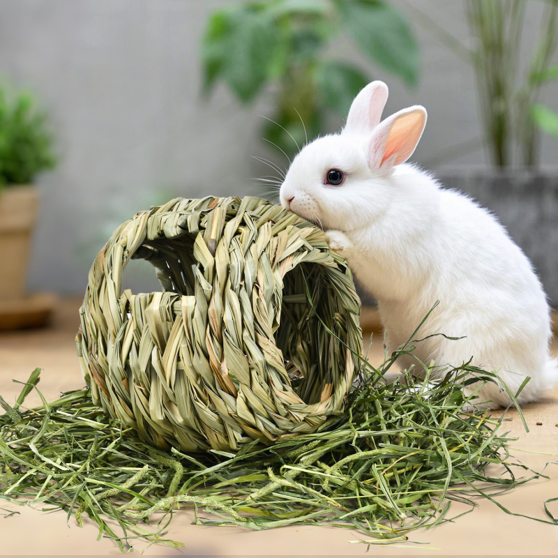 Pet Chew Snacks Manufacturer - Hand Woven Grass Feeder for Hamsters Custom