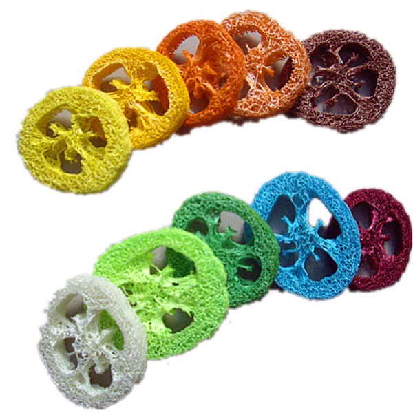 Soap Scrubber Manufacturer - Transparent Multi Type Body Care Custom