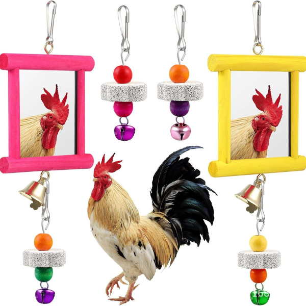Parrot Toys Factory - Acrylic Mirror Chew Toy Cage Ornament Custom
