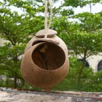 Bird Nest Manufacturer - Coconut Shell Creative Pet House Custom