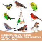 Bird Toys Supplier - Wooden Swing with Feeder Cup Stand Custom Design