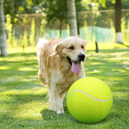 Pet Toy Manufacturer - Inflatable Tennis Ball 24cm Rubber Chew Custom