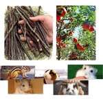 Pet Chew Toy Factory - Dried Apple Branch Rabbit Molar Stick Custom OEM