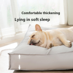 Pet Mat Manufacturer - Waterproof Washable PVC Pad for Dogs Custom Sizes