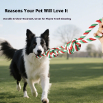 Dog Chew Toy Factory - Cotton Rope Knot Set Teeth Cleaning Custom