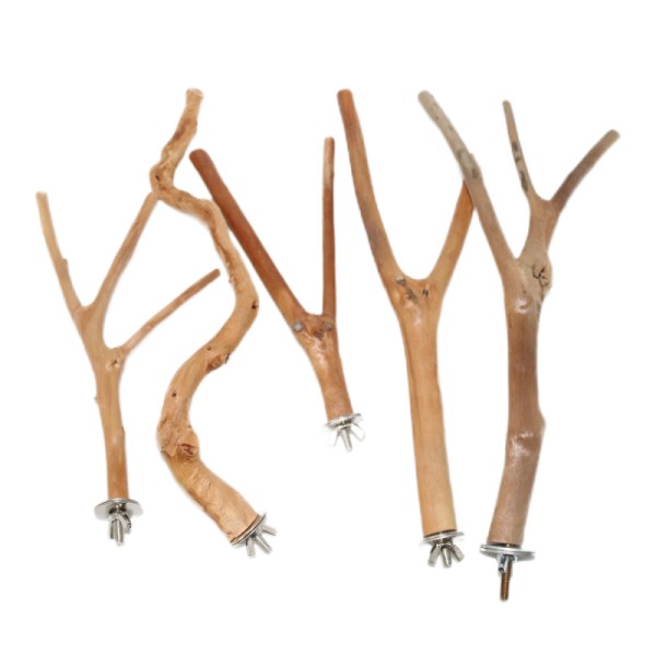 Bird Perch Manufacturer - Wooden Stand Cage Accessory Custom Sizes