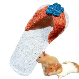 Pet Chew Toy Factory - Natural Loofah Slipper Teeth Cleaning Custom