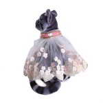 Pet Lace Cape Factory - All Seasons Dress Up for Dogs Cats Custom Private Label