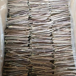 宠物磨牙玩具厂家-木质何首乌棒洁齿可定制