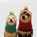 Pet Hat Manufacturer - Teddy Bear Design All Seasons Wool Headgear Custom