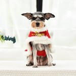Pet Christmas Cape Manufacturer - Extra Thick Winter Thermal Dog Clothing Custom OEM