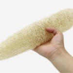 厨房海绵厂家-100%天然丝瓜可堆肥可定制