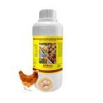 动物维生素预混料生产商-复合维生素矿物饲料添加剂