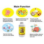 Livestock Multivitamin Supplier - OEM Cattle Sheep Goat Oral Solution