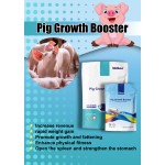 Pig Growth Supplement Manufacturer - Fast Weight Gain Fattening Booster