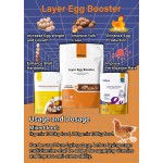 鸡维生素促进剂厂家-禽用矿物粉补充剂